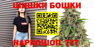 гашик Дубна