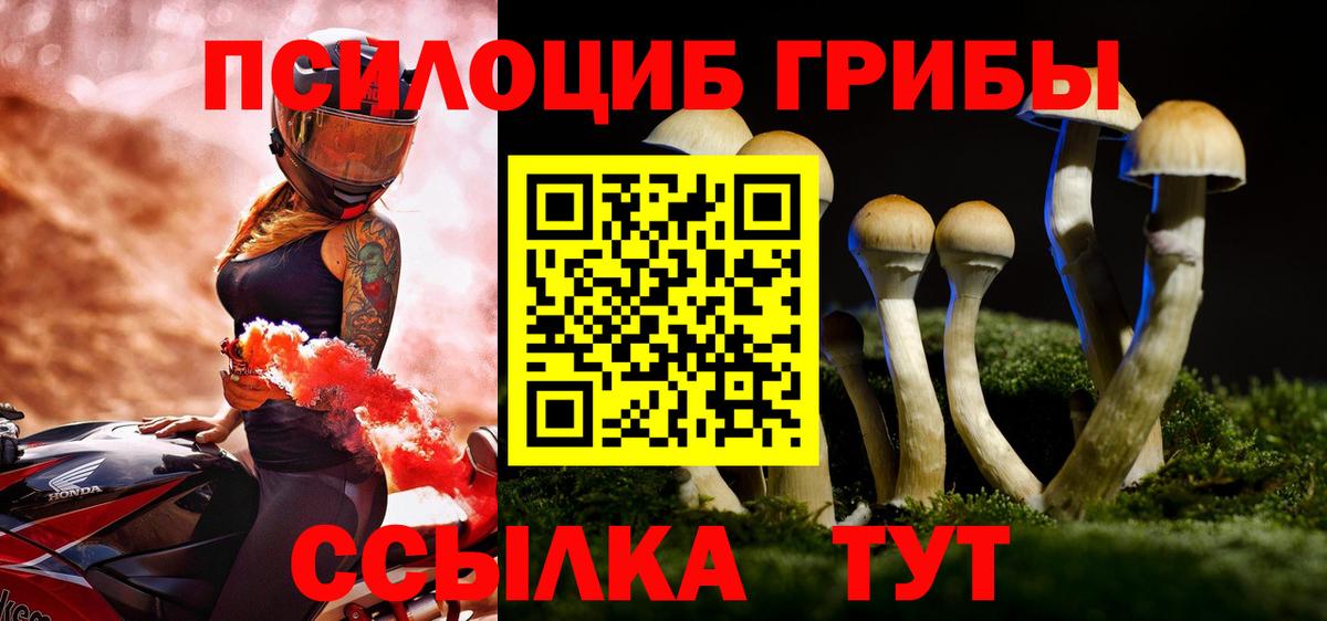 Псилоцибиновые грибы мицелий Лыткарино